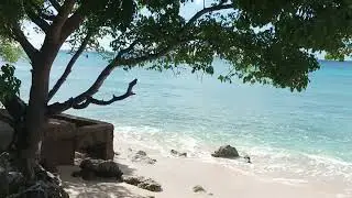 Heywood Beach - St Peter, Barbados