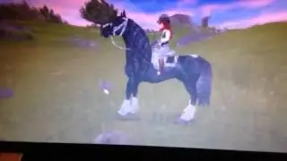 Star stable-funny moment