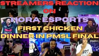 Streamers Reaction on Hora Esports First Chicken Dinner In PMSL Final