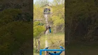 adventure on mapple jungle