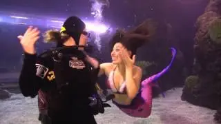 Experience the Downtown Aquarium with A-1 Scuba & Travel Aquatics Center