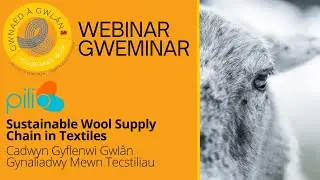 Sustainable wool supply chain in textiles / Cadwyn gyflenwi gwl&acirc;n gynaliadwy mewn tecstiliau