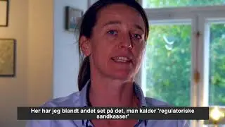 Finanskrise 2.0