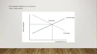 Externalidades - Grupo 5 de Microeconom&iacute;a 