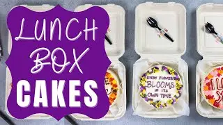 Lunch Box Cakes | CHELSWEETS