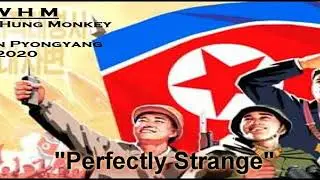 WELL HUNG MONKEY - PERFECTLY STRANGE Live Pyongyang Clip