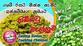 තිබ්බටු මැල්ලුම තිත්ත නැතිව | Thibbatu Mallum Recipe| Sri Lankan Wild Egg Plant| Turkey berry Sambol