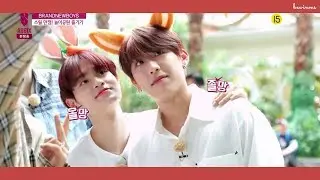 #CHAMHWI - Sweet Luv | 19