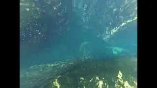 Wekiva Springs Cave