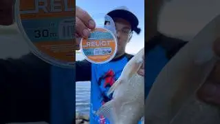 Выбираем диаметр поводка под рыбу #рыбалка #фидер #лещ