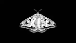 Martyn Hare - Imbalance (Fernanda Martins Remix)