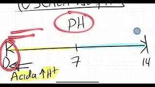 El concepto de pH