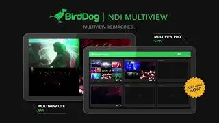 BirdDog NDI Multiview Lite and NDI Multiview Pro