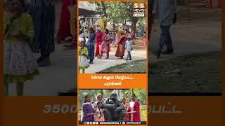 3 ஆண்டுகளுக்குப் பிறகு திறக்கப்பட்ட தாவரவியல் பூங்கா