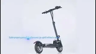 Eco-Friendly Folding Smooth Ride on Various Terrain Electric Kick Scooter, Commute Electric Scooter,