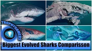 Maneater - All Biggest Evolved Sharks Gameplay Comparison (Fully Maxed Out)