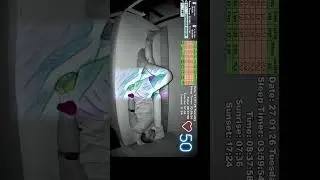 Sleep Stream short 27.01.2026 vss full video in description #sleepstream #shorts #live #sleeping