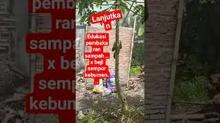 pesona x beji sempor Gombong indonesia....menyala ketua😎😎😎🙏🙏