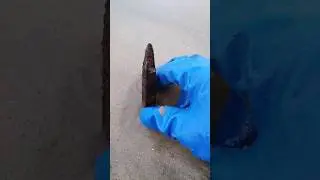 Terrible trap on the beach