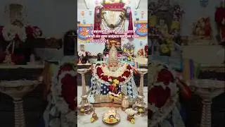 #akklkot Shree Swami Samarth Maharaj Samadhi Math Vatsralnkar Mahapuja Darshan 🌺 26/10/2025|Swami|🙏🙏