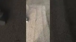 Dirty Carpet getting professionally cleaned Tampa Bay Times Best of the Best 2020 Suds Up