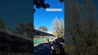 albert park F1 race spectator view