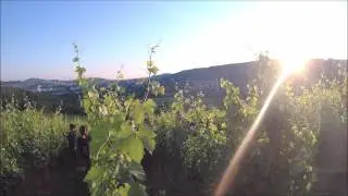 19/06/2017 - Domaine Pignier