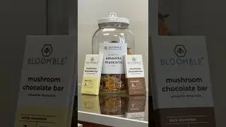 (EXPLAINED) How Our Mushroom Bars Affect Your Brain 🍄🧠