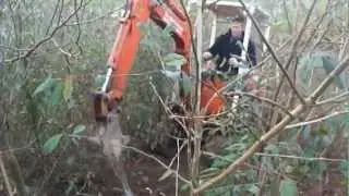 Tree Digging With Volvo Pel-Job 12.4 and J-blade Attachment