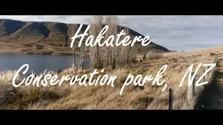 Hakatere conservation park, NZ