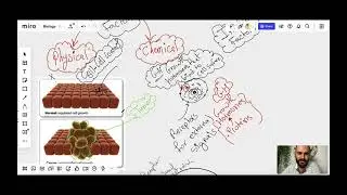 Control of the Cell Cycle
