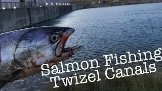 Twizel Canal Salmon Fishing | 1st Day