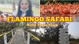 FLAMINGO Sanctuary In Airoli | FLAMINGO BOAT SAFARI 2021 | Thane Creeck | PLACE TO VISIT IN MUMBAI
