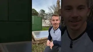Постройте холодный парник и выращивайте растения зимой 🥶