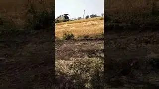 Gill combine