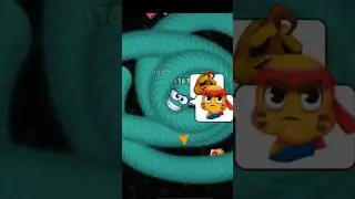 🐍wormsZone.io ❤001Slither snake top 01/Best world record snake Epic cacing #Wormzoneio#wormszone#v🐛🐍