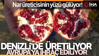 Denizli Narının Avrupa&rsquo;ya İhracat Yolculuğu Başladı