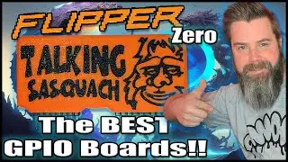 ЛУЧШИЕ платы Flipper Zero GPIO, которые можно купить за деньги!! С JustCallMeKoKo и AWOK!!! 🐬💰🤯😲🌊
