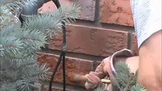 Brick Tinting