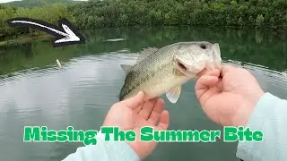 WACKY RIG BASS FISHING: HOT BITE on a RAINY DAY