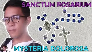 Latin Rosary LIVE (PUN POR PUNTO) April 13 2023  \\ Mr. 721 Catholic