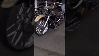 Had the girls lined up for a show, bringing back some hardware and another bike! #harley #softail
