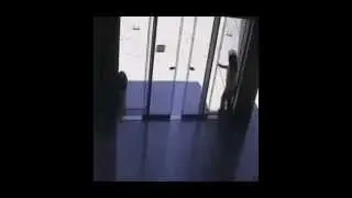 Best Vine Fail and Funny Videos #1