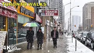 Toronto Snowfall Walk - Finch to Sheppard in North York on Feb 26 [4K]