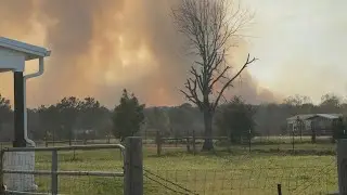 Shelters open due to wildfire burning in San Jacinto County