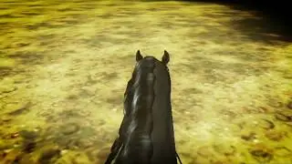 [SSO] First person riding! Dressage+Jumping