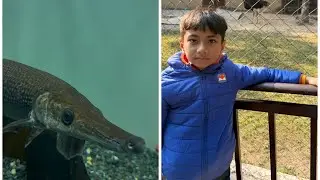 Dehradun Zoo visit | Aquarium 🐠 | #aquarium #zoo #animals #fish #fun #love 