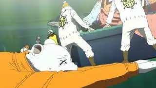 Heart Pirates amv ~Piraten