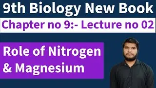 Role of Nitrogen & Magnesium in Plants| Plant Physiology| 9th Biology New Book| Lec # 2|Chap # 9