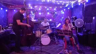 Nicole Connelly/Zach Swanson/Deric Dickens, Live at the Bushwick Series pt.1